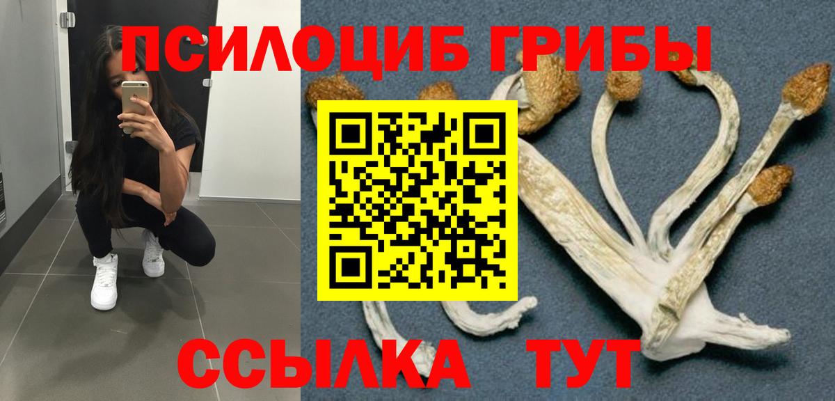 Псилоцибиновые грибы GOLDEN TEACHER Нововоронеж
