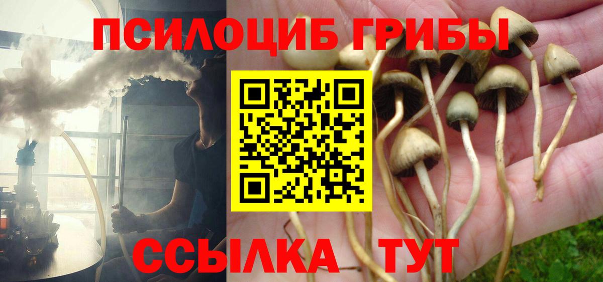 Нововоронеж  Псилоцибиновые грибы ЛСД  Вход с VPN 